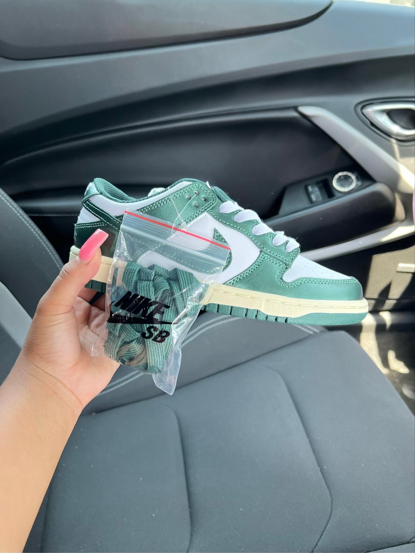 dunks (all colors)
