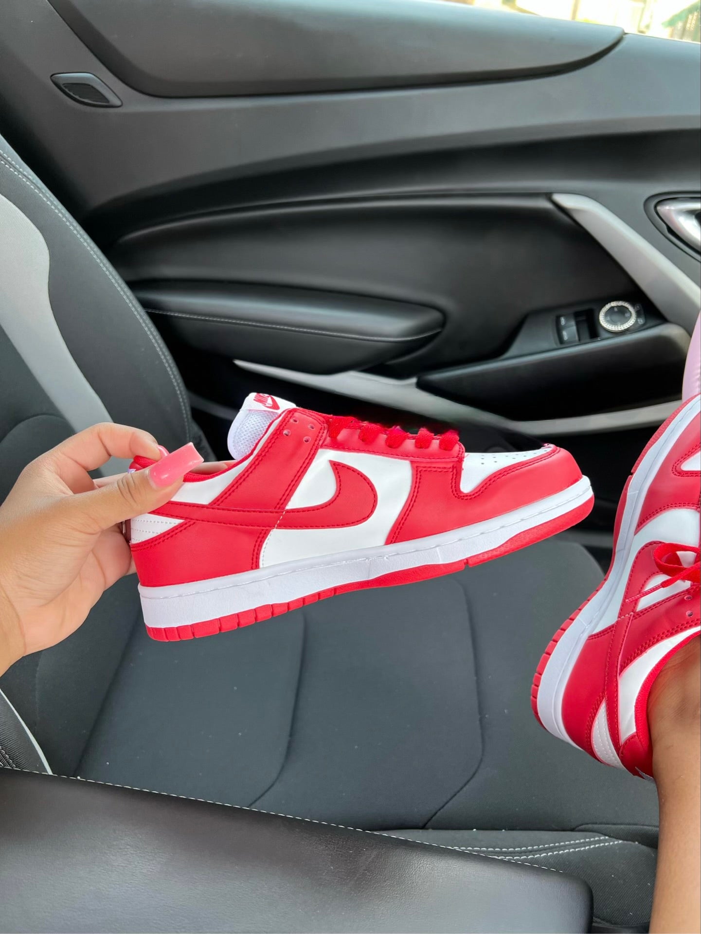 dunks (all colors)