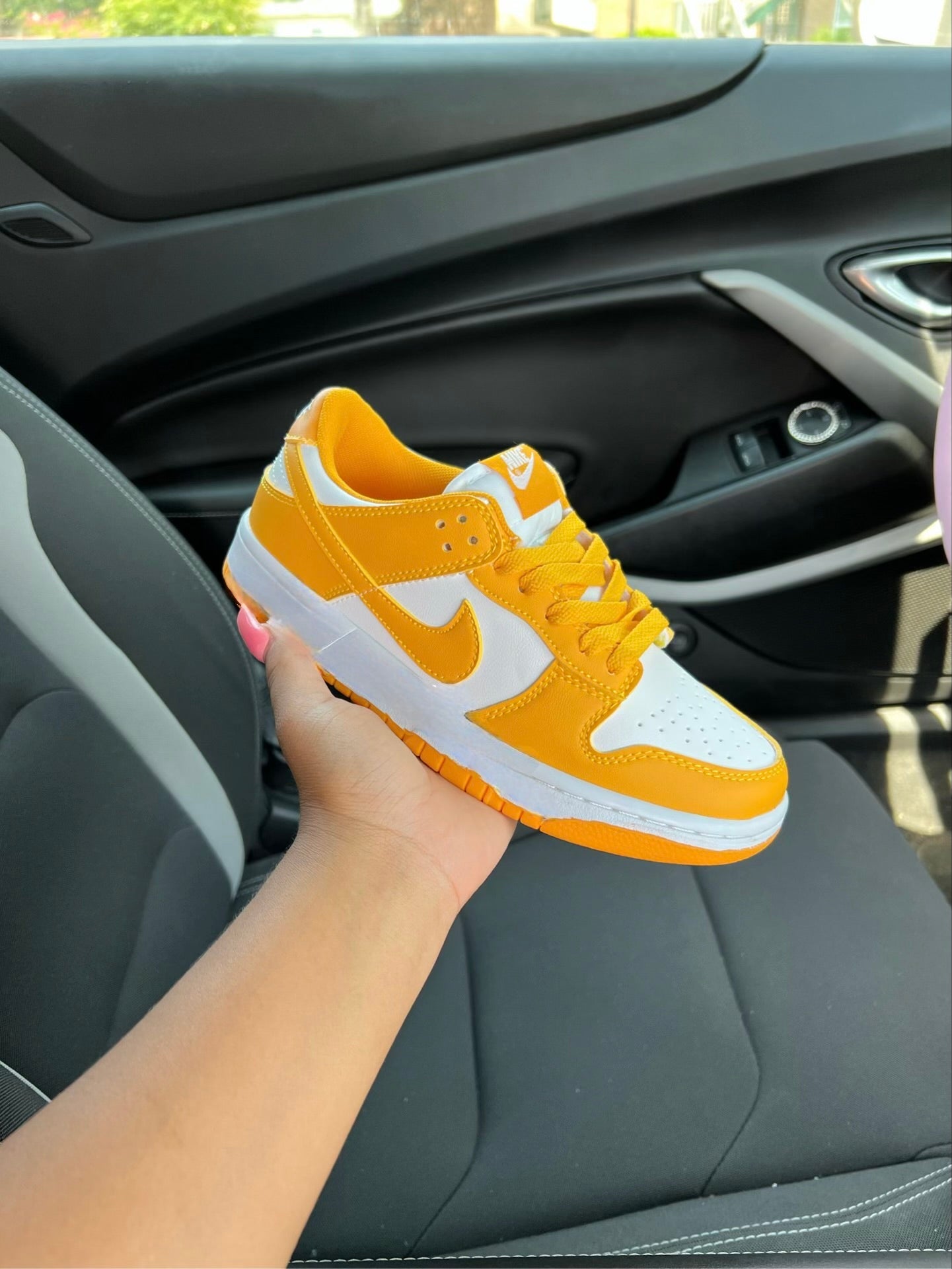 dunks (all colors)