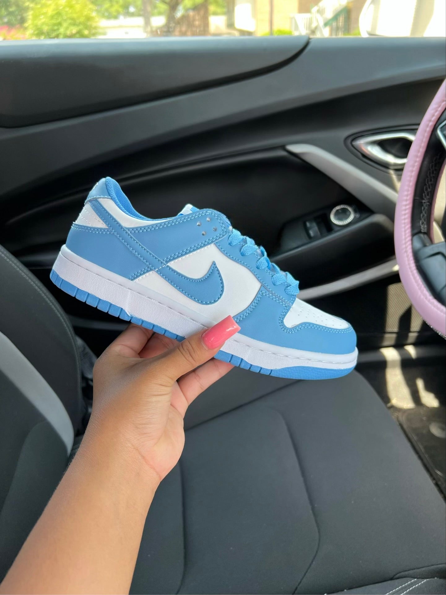 dunks (all colors)