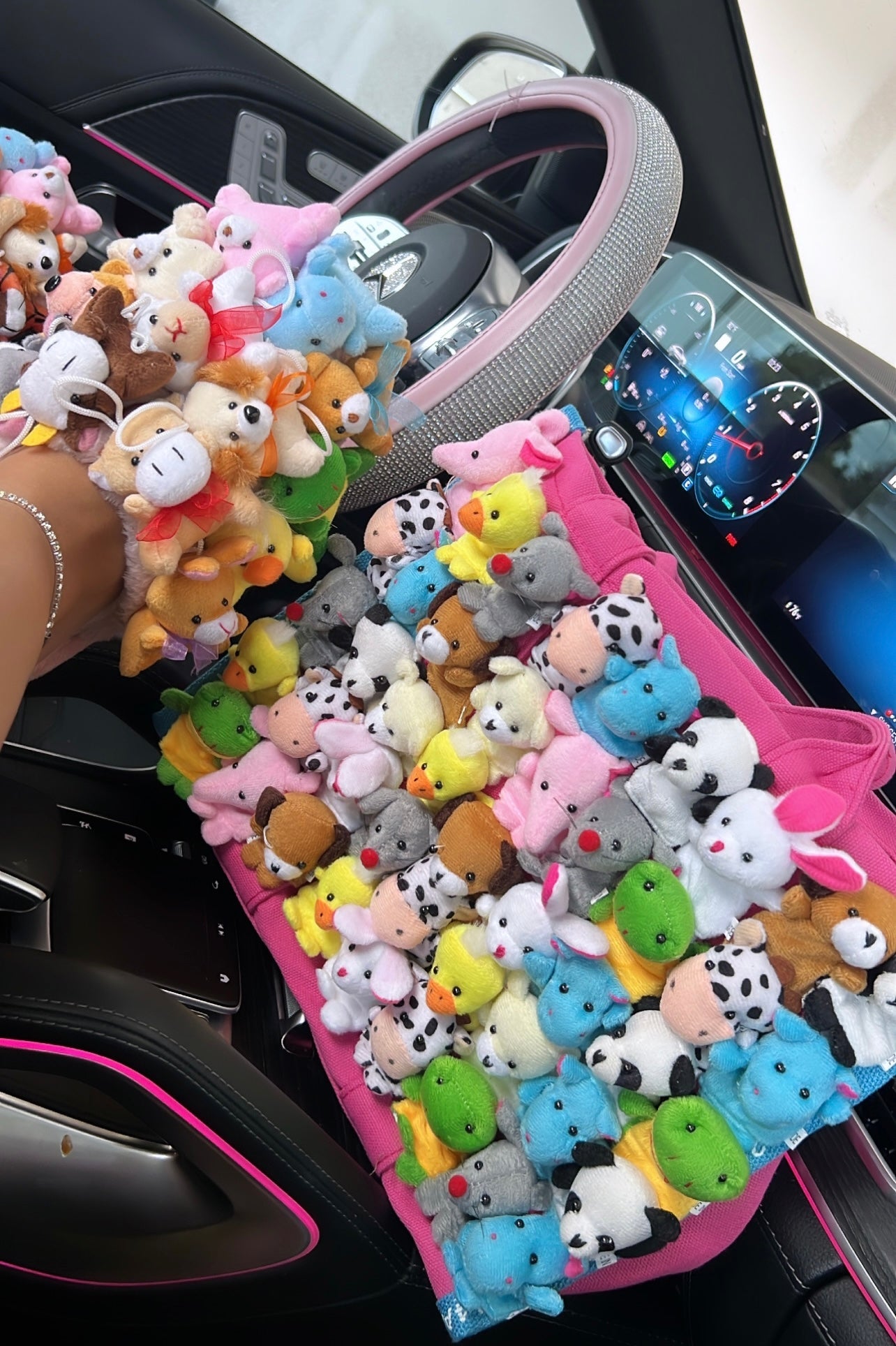 teddy slippers & tote set